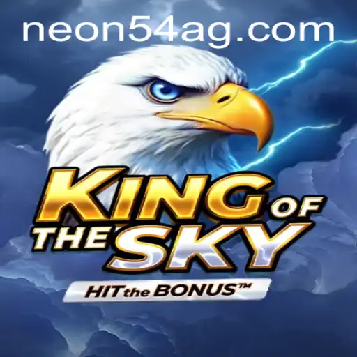 Exploring KingOfTheSky: An In-Depth Look and Current Perspectives